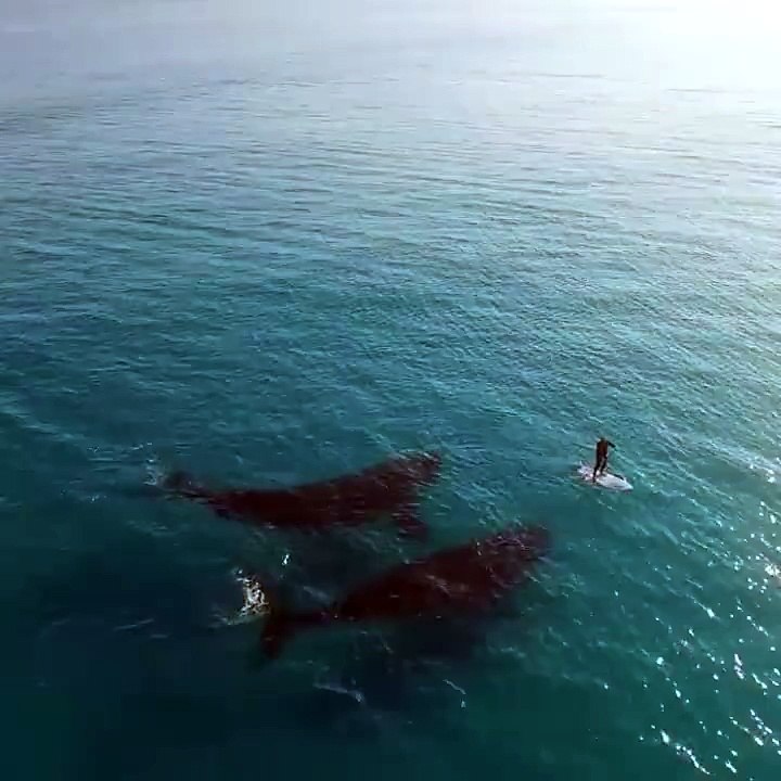 Amazing *_*