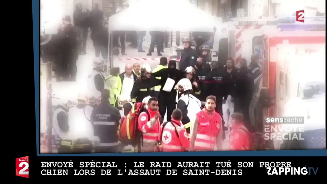 Envoyé Spécial : Le Raid aurait tué son propre chien lors de l’assaut de Saint-Denis (vidéo)