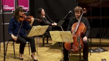 Trio Karénine interprète la 5ème Dumka (Allegro) du trio 