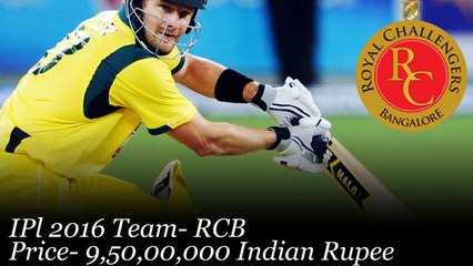 Shane Watson_ The Most Expensive Player In IPL 2016 _ Highest Paid Player