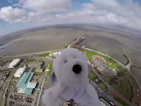 Jose Luis Colmenter: ÚLTIMA HORA. Perro de peluche enviado al espacio con una GoPro