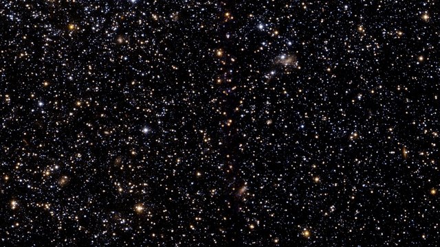 A case of suspended animation