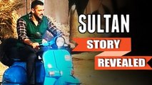 Salman Khan's SULTAN Plot LEAKED