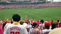 Hiroshima carps baseball