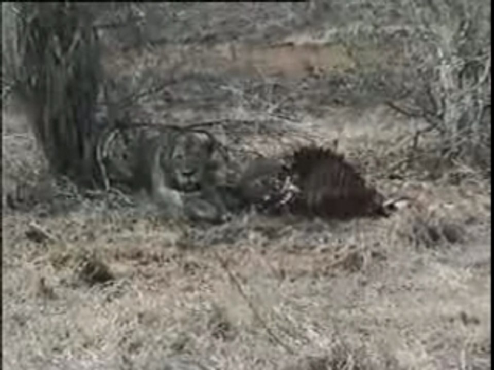 Kad et Olivier  La Grosse Emission Dieudonné