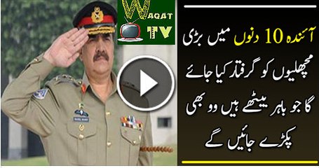 In Next 10 Days Big Fishes Will Be Arrested Watch Video