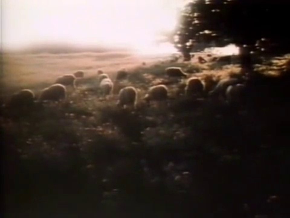 été