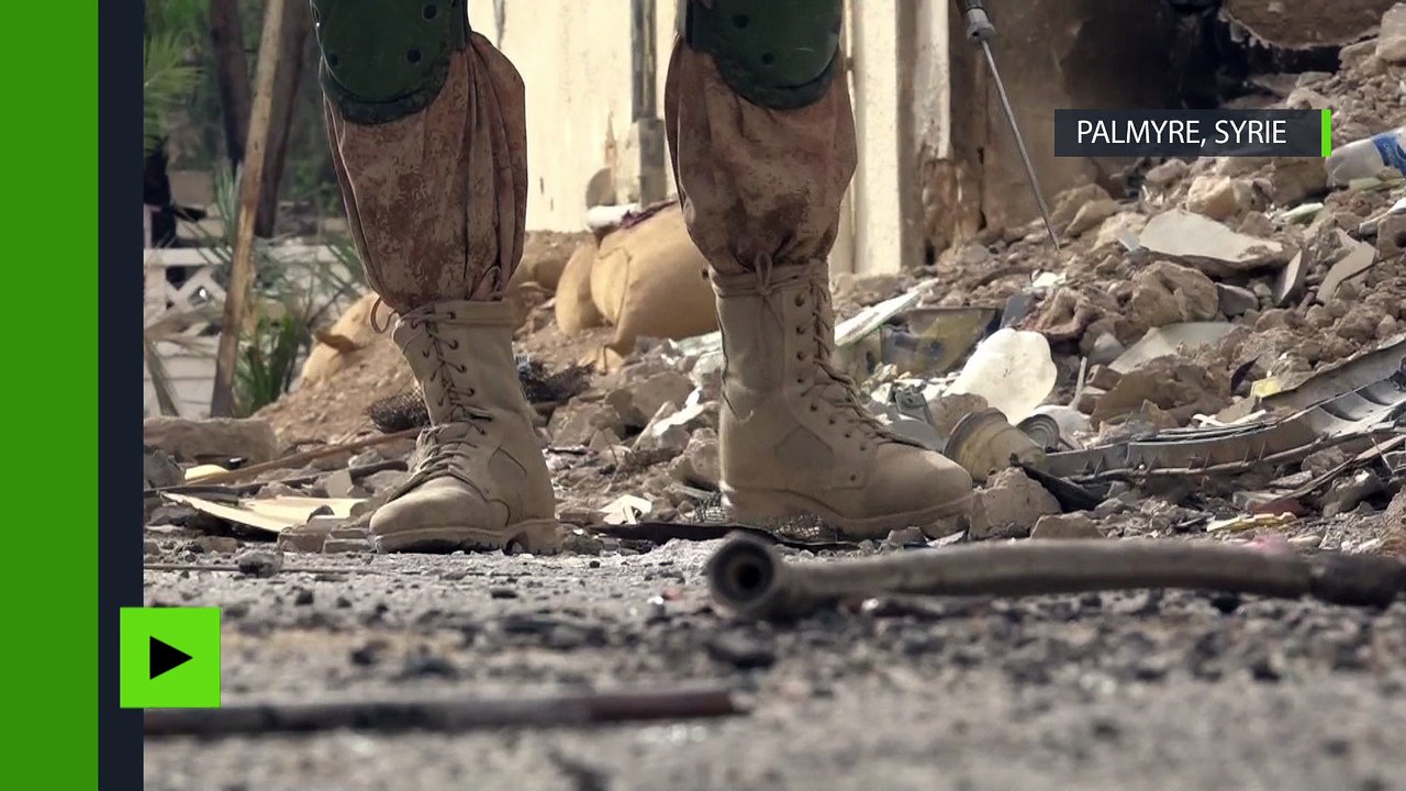 Plus de mines à Palmyre : des militaires russes et des chiens de détection ont déminé la cité antique