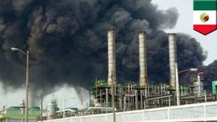 Petrochemical plant in Mexico blows up, killing 24 people