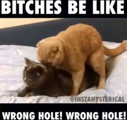 Very very funny goes wrong hole