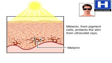 How Does the Sun Affect Your Skin Benefits & Harmful Effects of Sunlight Exposure Animation Video