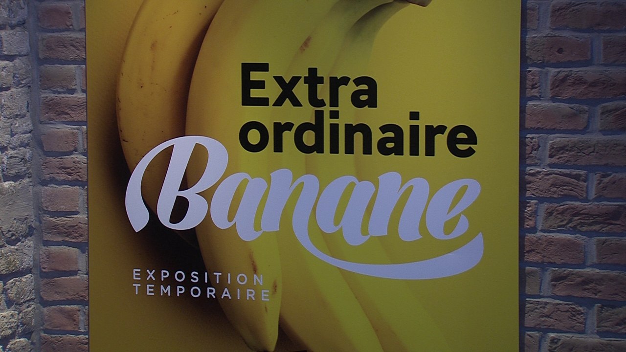 Musée Portuaire de Dunkerque :  "La Banane Extra Ordinaire"