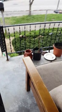 La fille voit le garçon se faire humilier par la fenêtre. Mais quand elle lui apporte ce paquet rouge, il rest