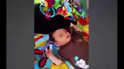 Funny cats and babies playing together