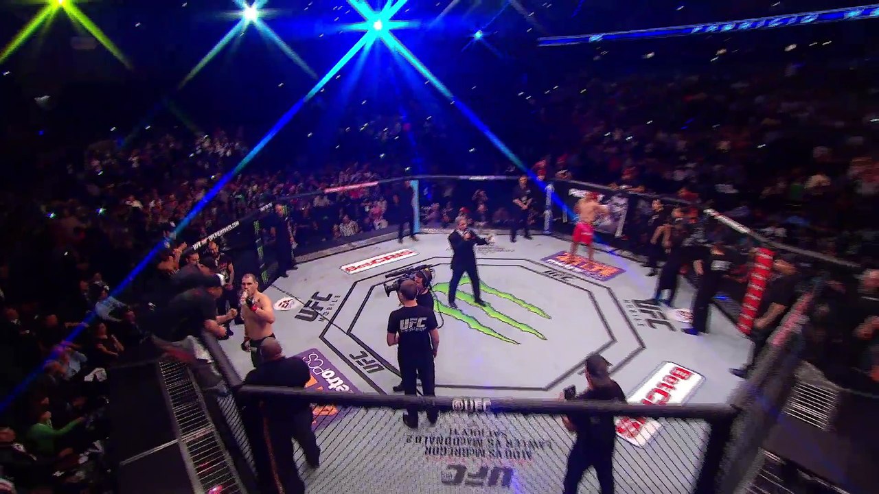 Fabricio Werdum vs Cain Velasquez