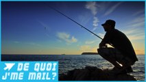 Les applis indispensables du pêcheur connecté - DQJMM (1/3)