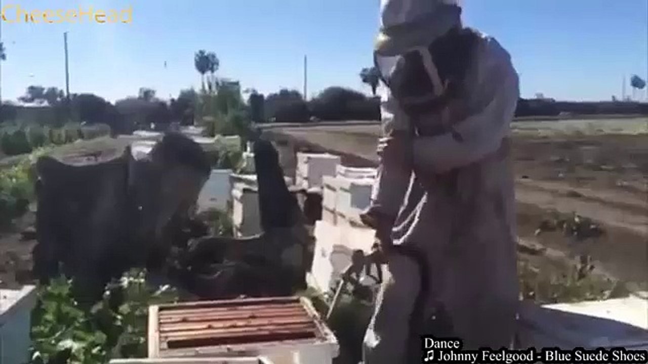 BEST COUBS - funny, enjoyable, happy, pleasure, sexy, Compilation Best coubs videos (15)