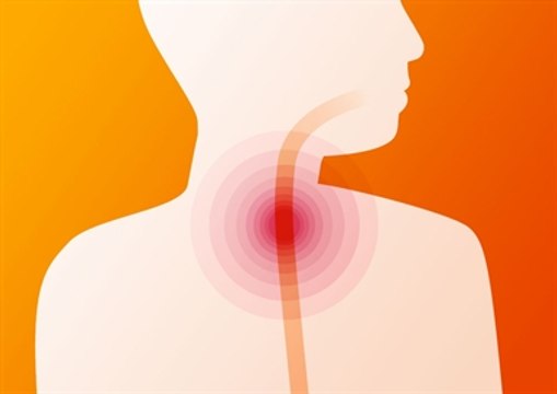 How swallowing works - Swallowing mechanism - Common eating disorders
