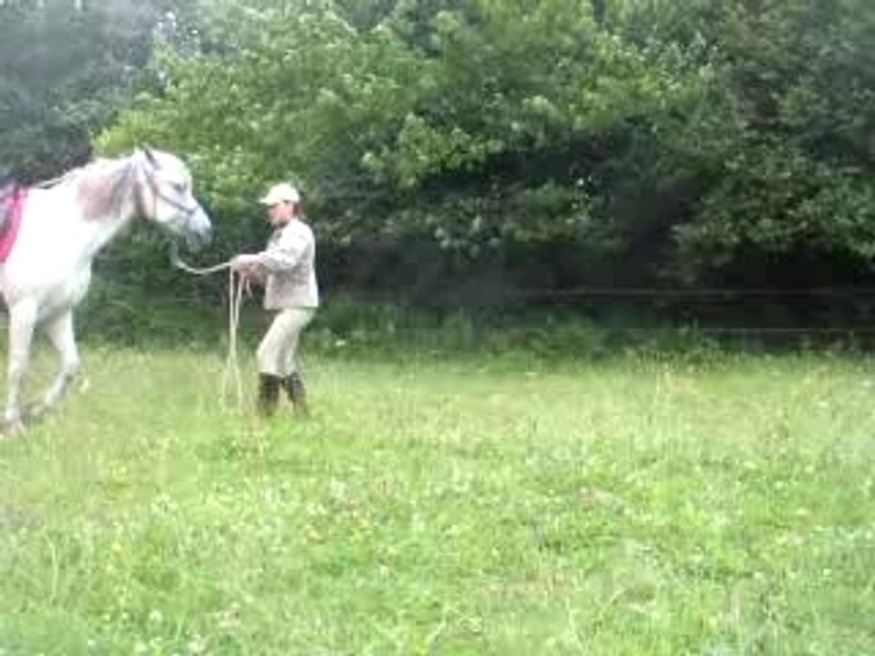 travail à pied
