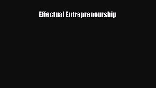 Read Effectual Entrepreneurship Ebook Free