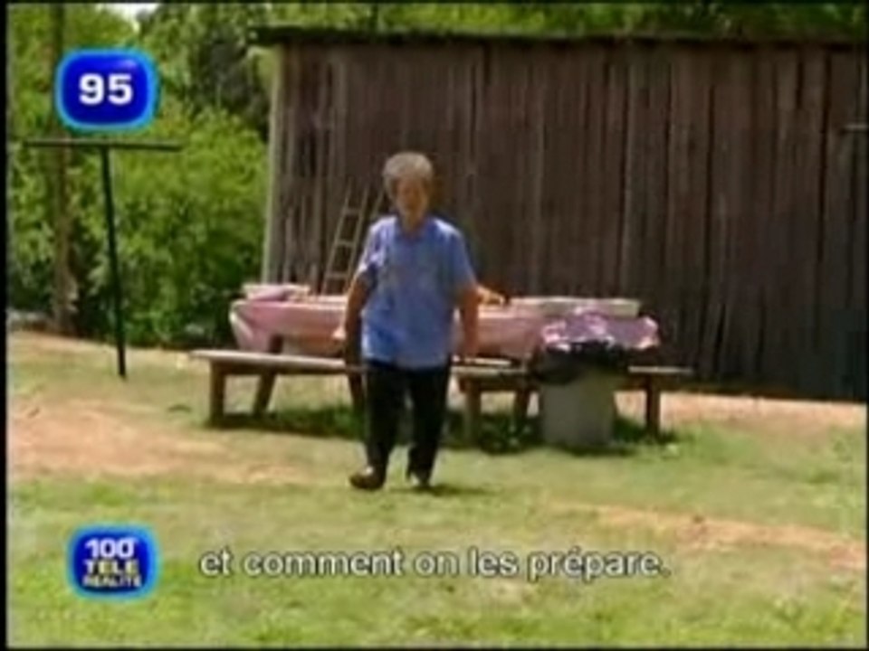 plus.grandes.perles.de.la.télé.réaliter