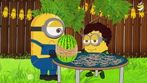 Watermelon Challenge Minions Edition Watermelon vs Rubber Bands - Watermelon vs Minions! [HD]