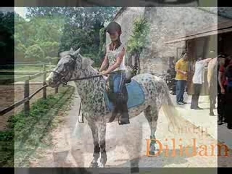 Mes années au cheval