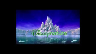 Disney Nature's Born In China Earth Day Trailer 22 April 2016 HD