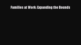 Read Families at Work: Expanding the Bounds Ebook Free