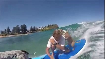 Un surfeur et ses 2 chiens sur un longboard. Dingue