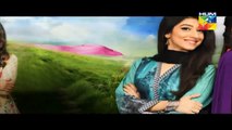 Haya Kay Daman Main Episode 19 Promo HUM TV Drama 22 April 2016