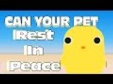 CAN YOU PET (re-uploaded)