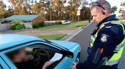 Highway Patrol S03e02