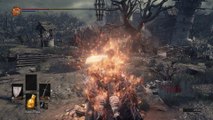 Dark Souls III - Undead Settlement: Cathedral Evagelist Combat Gameplay Near Big Tree Sequence PS4