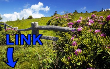 Download Fishing Planet steam keygen telecharger 2016