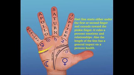Palmistry Essentials for Beginners ✋