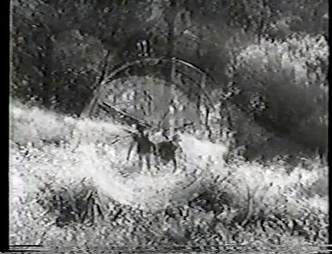 The Adventures of Rin Tin Tin @ 03 Rin Tin Tin in the Flaming Forest