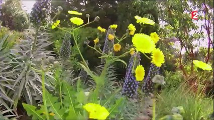 Var : à la découverte du Domaine du Rayol