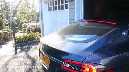 Pooch power! Dog gets behind the wheel of self driving Tesla