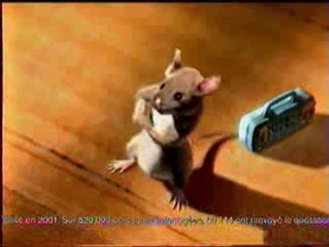 Pub Comique - Whiskas (Souris danse)