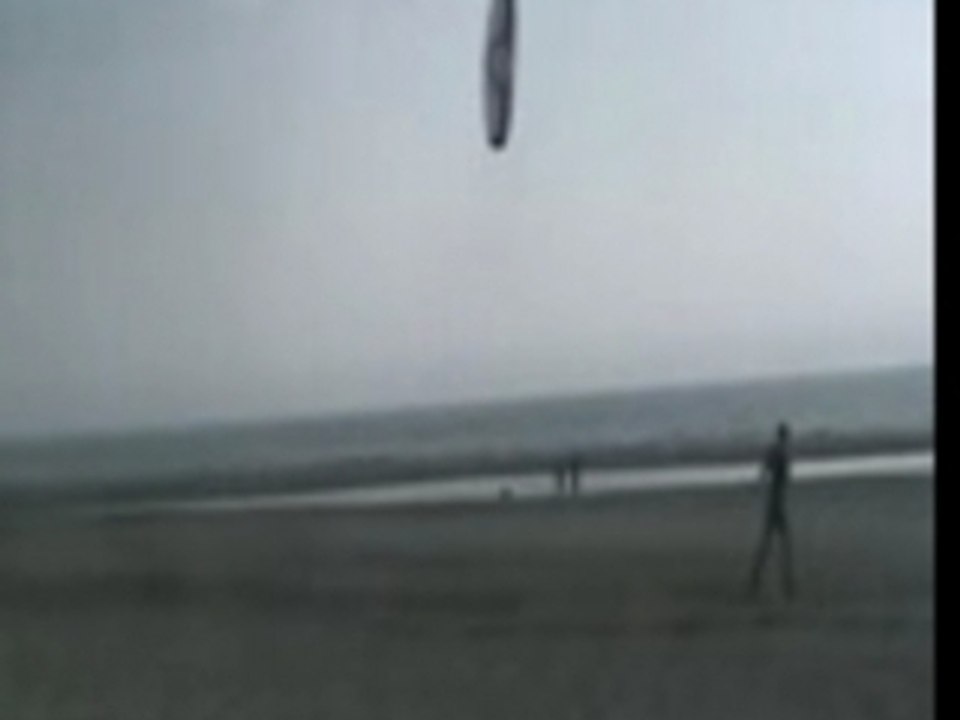 BERCK BUGGY 2