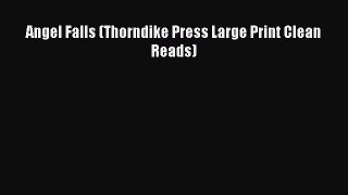 Ebook Angel Falls (Thorndike Press Large Print Clean Reads) Read Full Ebook