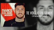 Marco Calone - Te voglio pe sempe ( A TESTA ALTA 2016 )