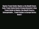 [Read PDF] Naples Travel Guide: Naples & the Amalfi Coast Italy: Travel Guide Book-A Comprehensive