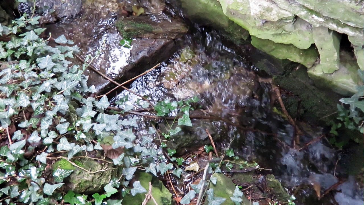 La source de la Nesque