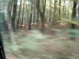 Eine Fahrt durch den Wald