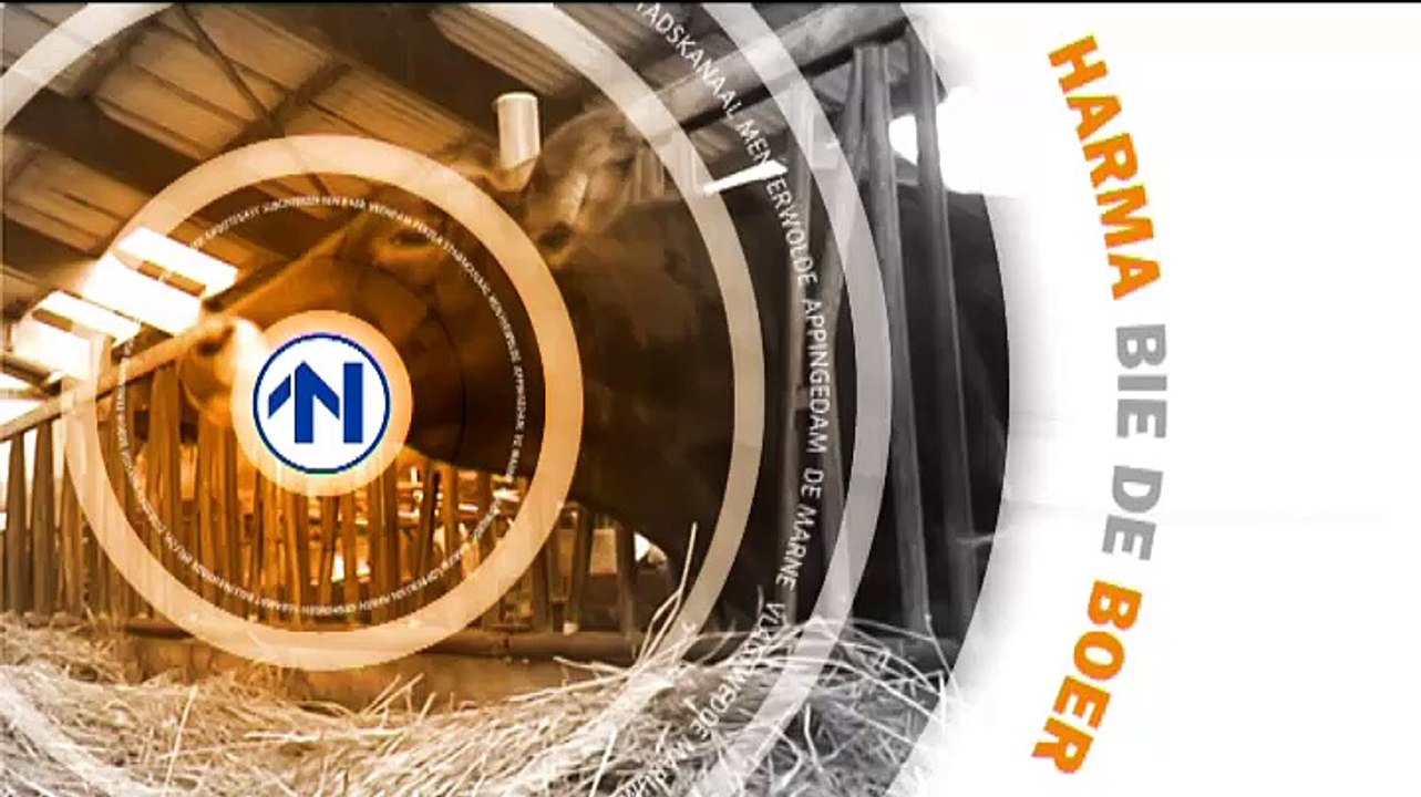 Het Weer Harma bie de boer [2242016] RTV Noord Video Dailymotion