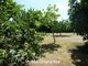 French Property For Sale in near to Archingeay Poitou-Charentes Charente-Maritime 17