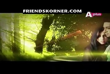 Bheegi Palkein Episode 24 - FULL A PLUS DRAMA 22 APRIL 2016