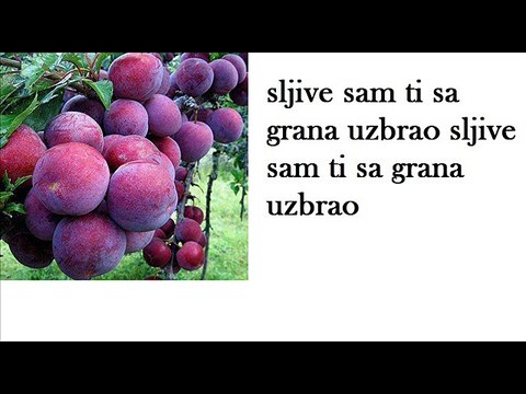 NADA MAMULA- ZNAS LI DRAGI ONU SLJIVU RANKU